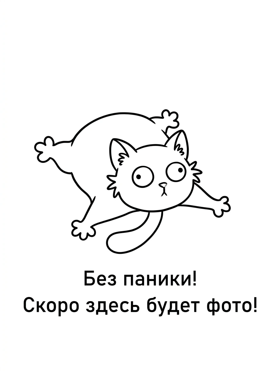 Декларация соответствия